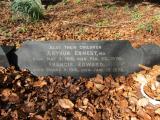 image of grave number 905948